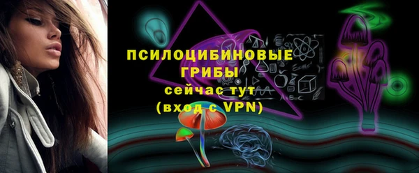 ПСИЛОЦИБИНОВЫЕ ГРИБЫ Дмитриев
