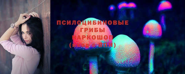 ПСИЛОЦИБИНОВЫЕ ГРИБЫ Дмитриев