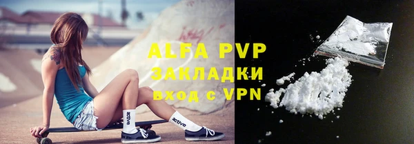 ПСИЛОЦИБИНОВЫЕ ГРИБЫ Дмитриев