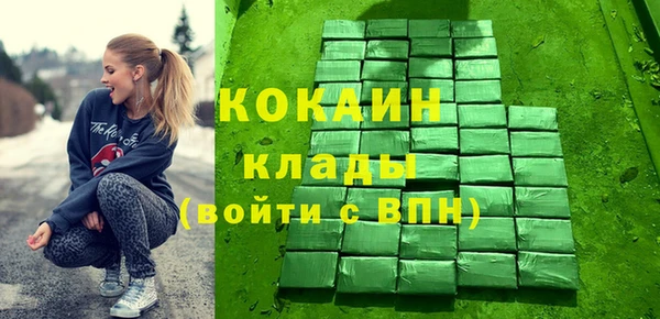 ПСИЛОЦИБИНОВЫЕ ГРИБЫ Дмитриев