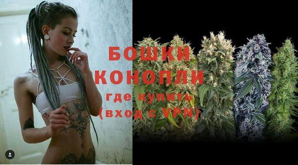 ПСИЛОЦИБИНОВЫЕ ГРИБЫ Дмитриев