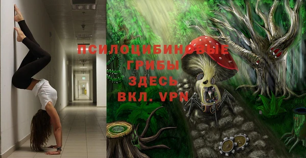 Альфа ПВП Дмитров