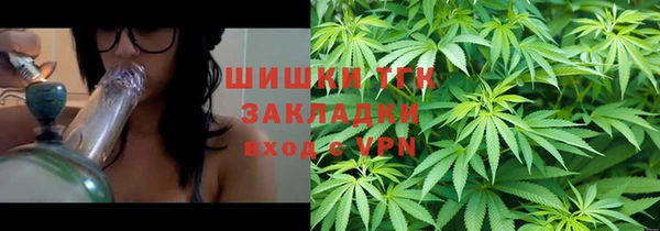 ПСИЛОЦИБИНОВЫЕ ГРИБЫ Дмитриев