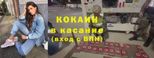 ПСИЛОЦИБИНОВЫЕ ГРИБЫ Дмитриев