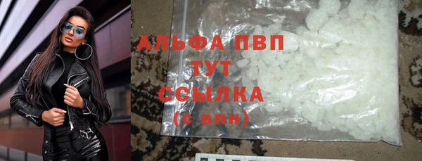 ПСИЛОЦИБИНОВЫЕ ГРИБЫ Дмитриев