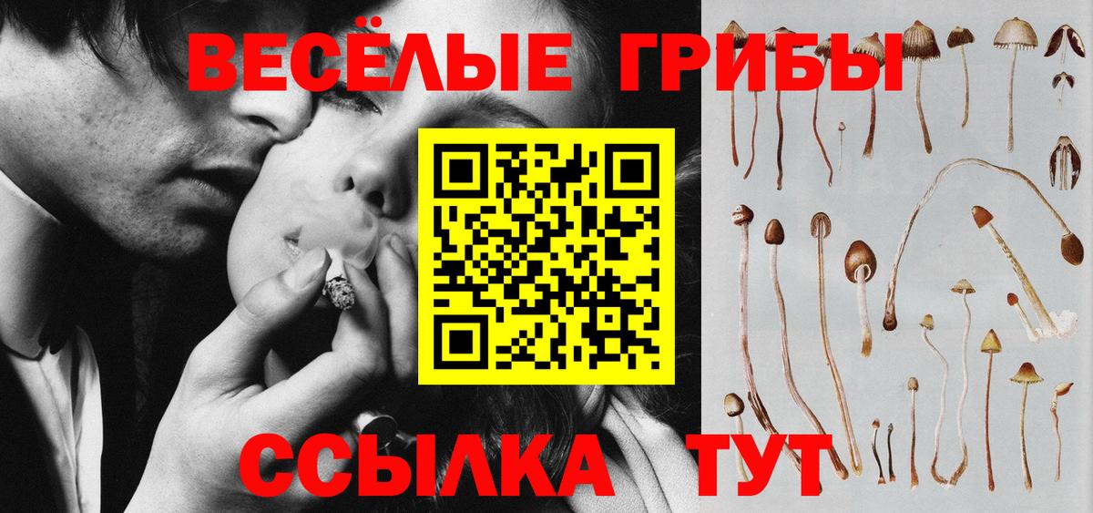 Псилоцибиновые грибы GOLDEN TEACHER Кинель