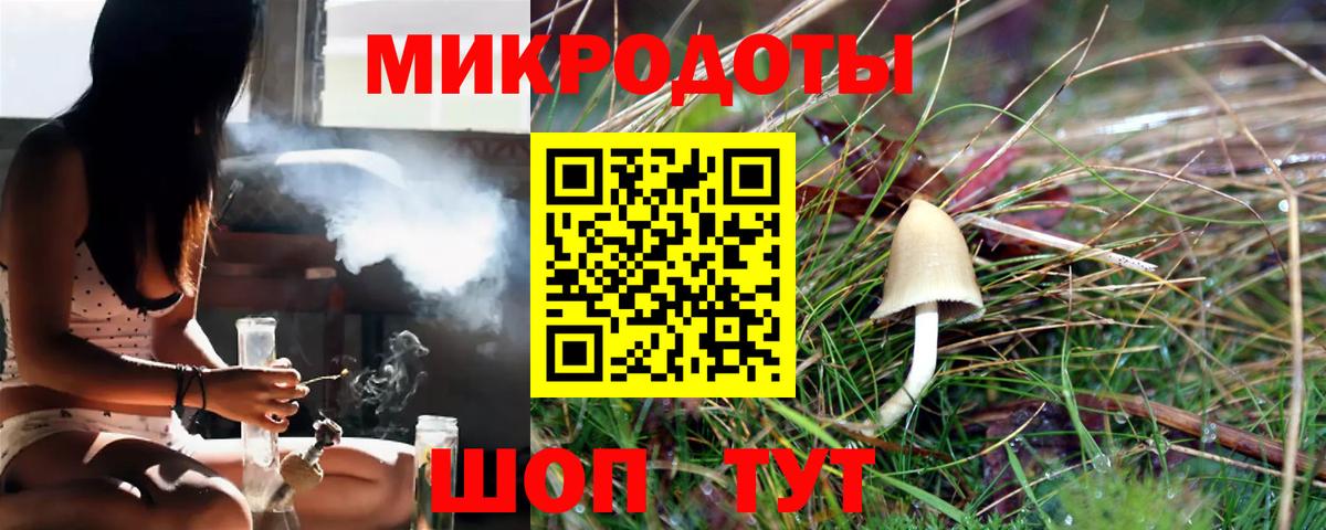 Псилоцибиновые грибы Cubensis  Вход с VPN  Кинель 